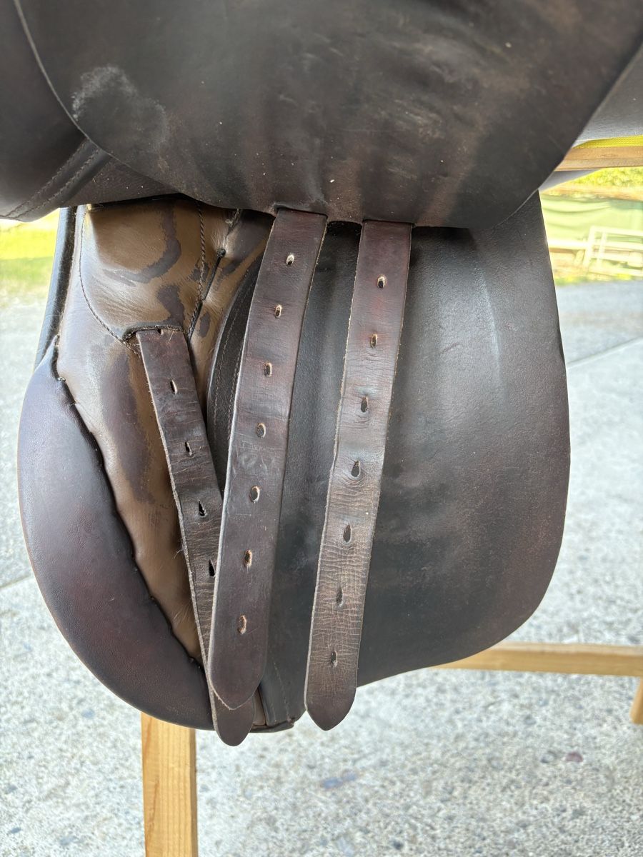 Selle & Accessori: Goertz Töltsattel Rippsitz – Usato da Dübendorf venduto da the_9n6r 5