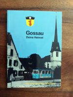 Gossau SG - Deine Heimat: Wetzikon-Meilen-Bahn