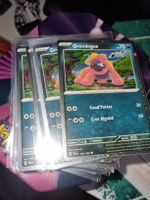 Promo carte pokémon Grondogue 142/193 🇨🇵