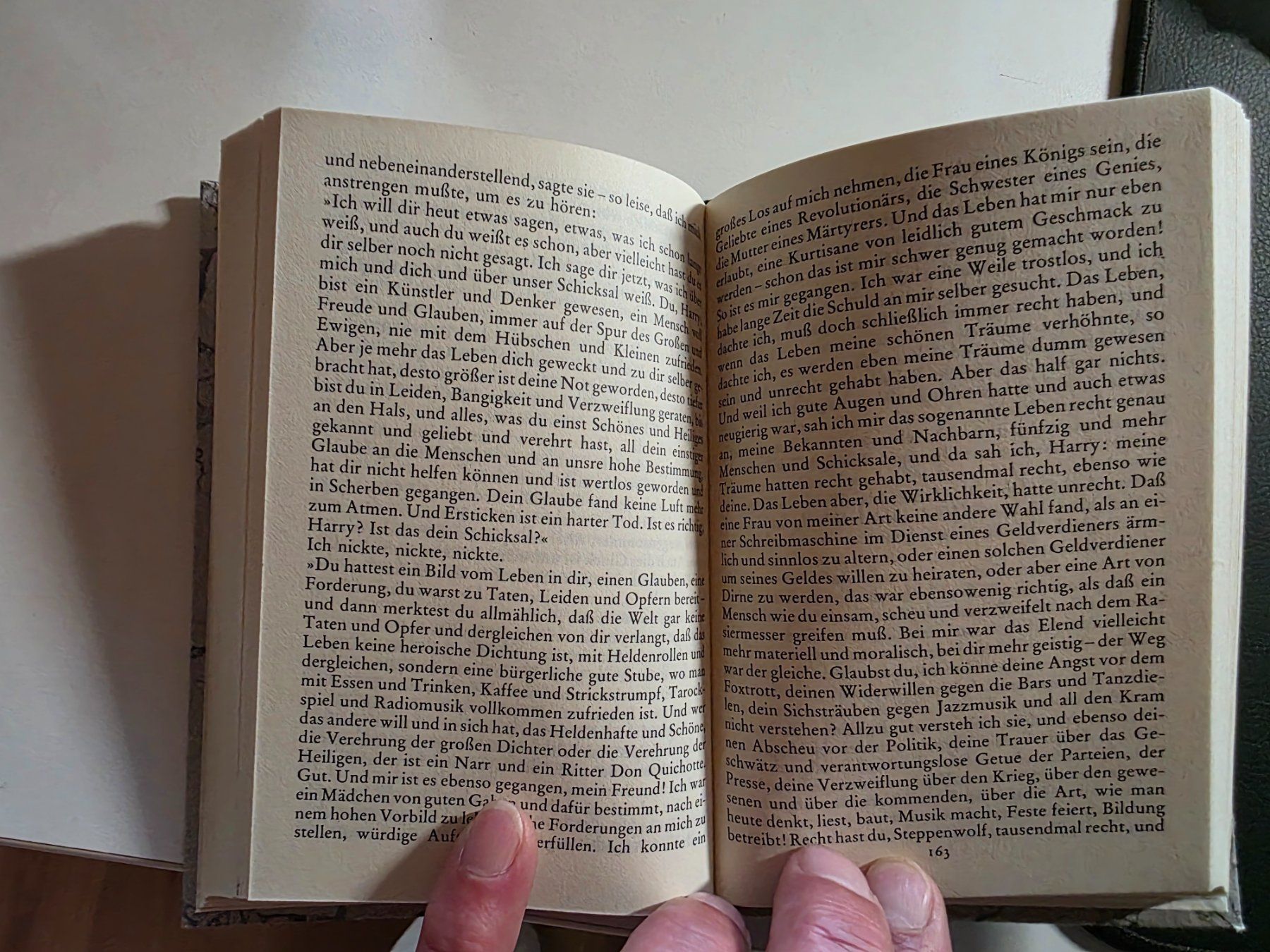Bücher: Hermann Hesse - Der Steppenwolf - 1981 Jubiläumsausgabe – Gebraucht aus Walterswil BE von Lonitti 5