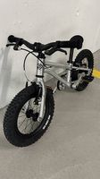 Early Rider Seeker 14 mit Riemenantrieb