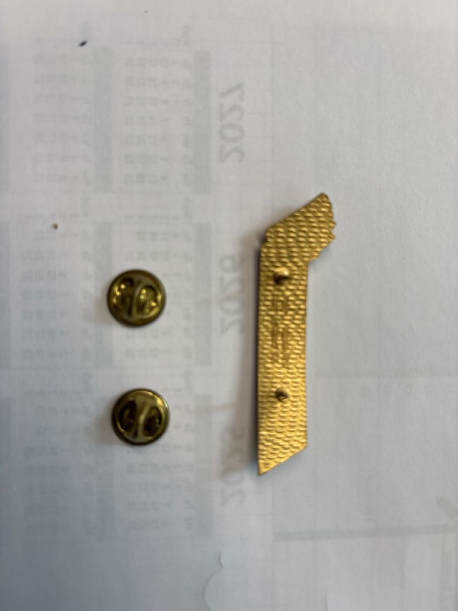 Insegne: crossair Uniform Pin – Usato da Unterengstringen venduto da hab_dyp5 1