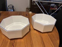 2 grands saladiers 24 cm