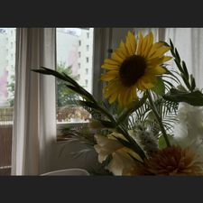 Profile image of Joelle_ZH