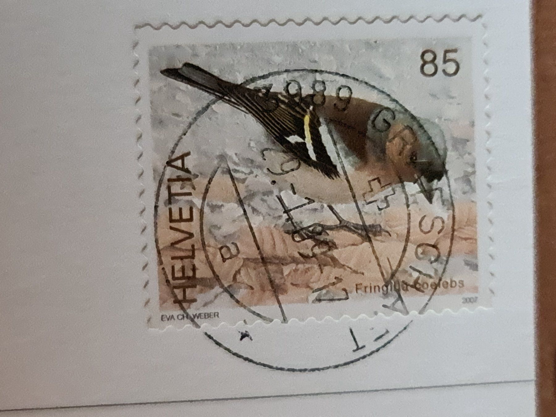 Cartoline postali: Ansichtskarte Oberwallis 2009 – Usato da Dintikon venduto da Vexi 1