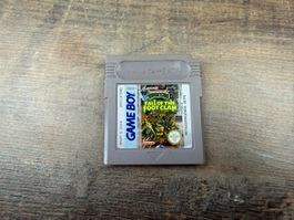 Game Boy Spiel Teenage Mutant Ninja Turtles Fall of the Foot