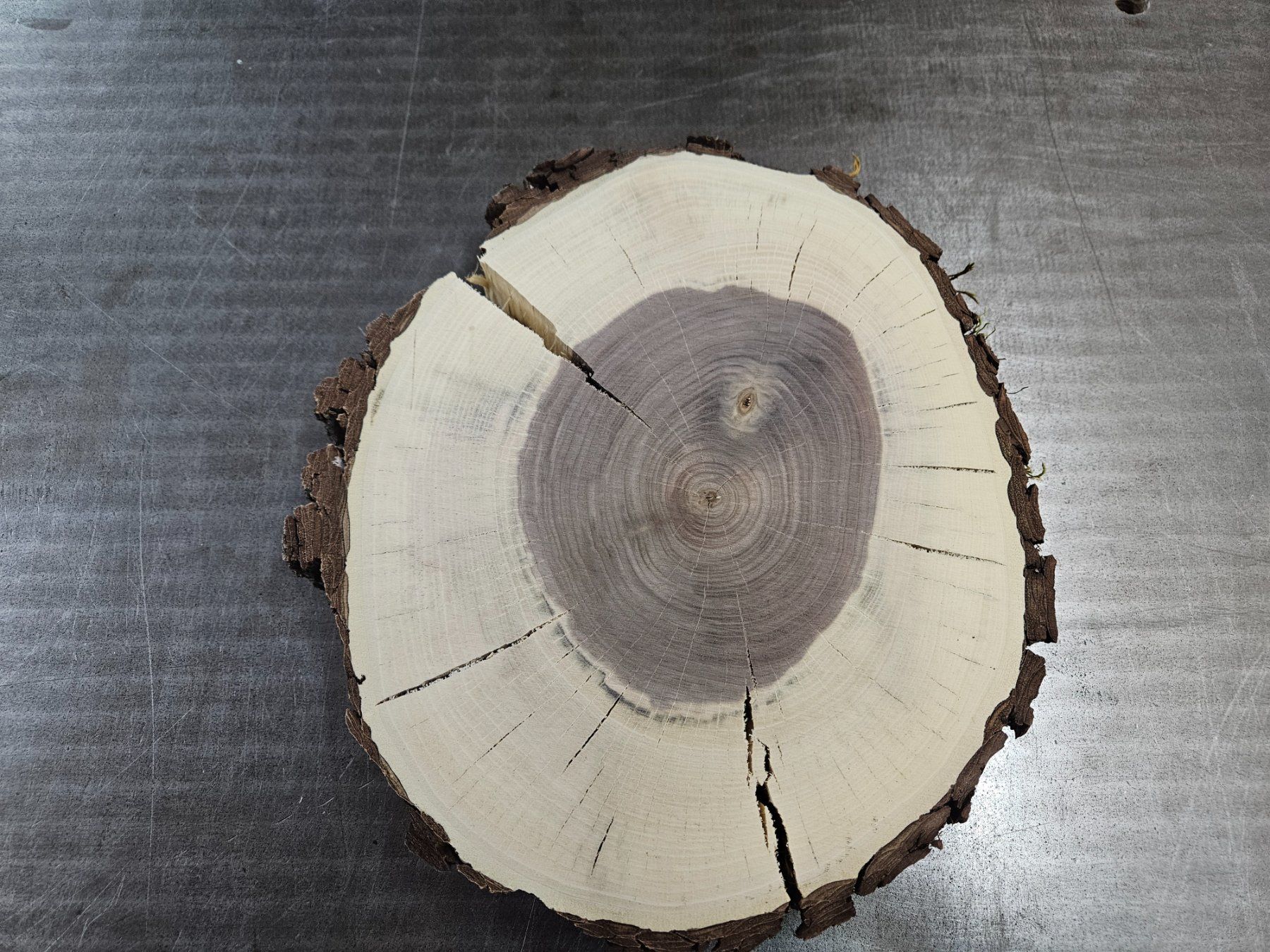 Holzartikel: Nussbaum Holz Baumscheibe – Neu (gemäss Beschreibung) aus Schangnau von egli6.2 2