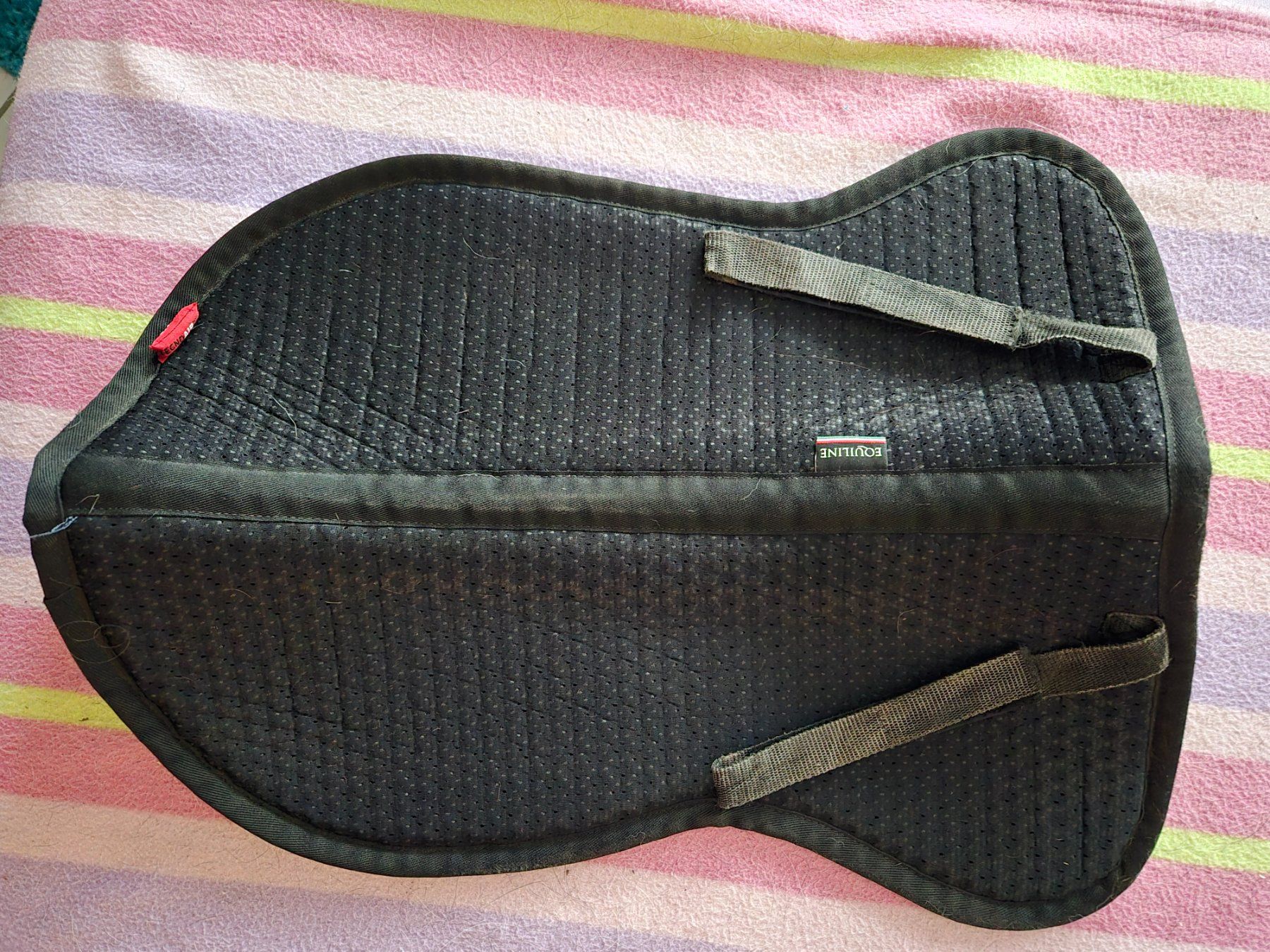 Selle & Accessori: Sattelpad von Equiline – Usato da Dänikon ZH venduto da shantiwell