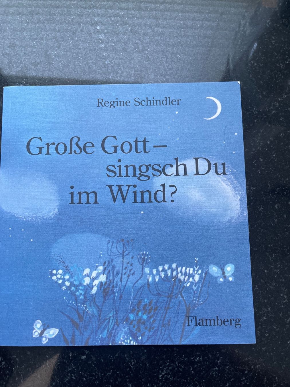 Libri: Kinderbuch Gott singst Du im Wind? – Usato da Samstagern venduto da Katinka8