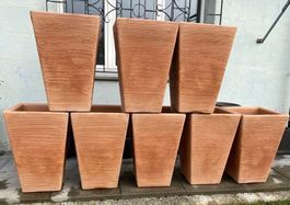 Blumentopf Pflanzentopf Pflanzengefäss Pflanzen Blumen Topf