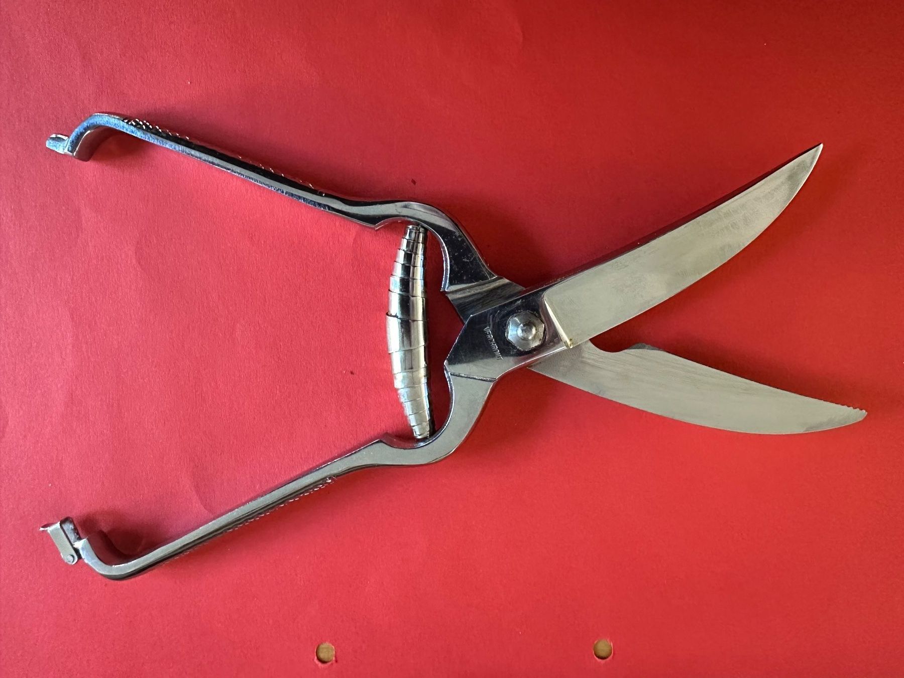 Elettrodomestici da cucina: Geflügelschere Solingen 25 cm – Usato da Stallikon venduto da Rsiri 3