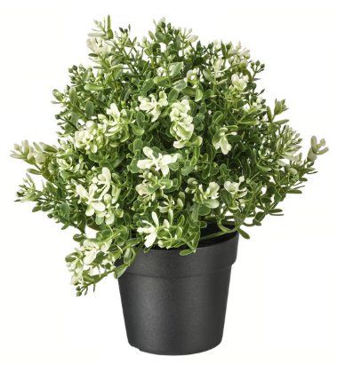 Pflanzen & Samen: Plante artificielle Ikea Fejka – Gebraucht aus Lausanne von Protectator
