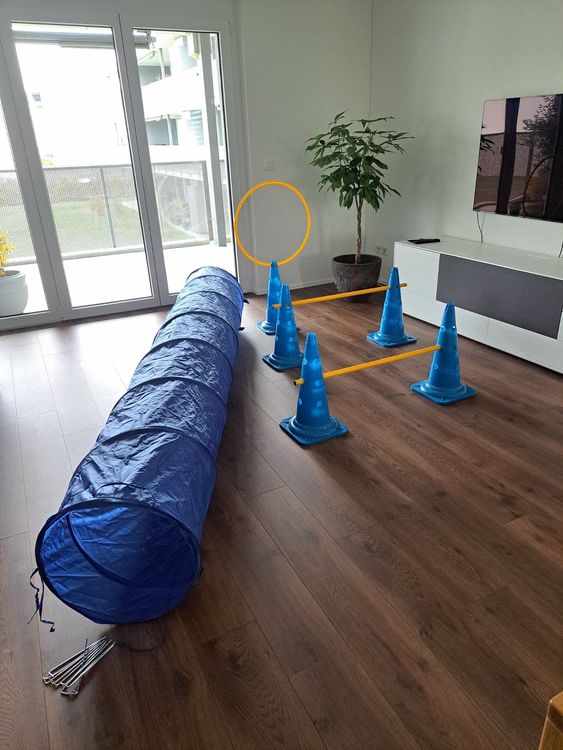 Hundeduft-Trainingsset – Interaktives Schnüffelspielzeug Mit Anisduft | Fördert Nasenarbeit & Mentale Auslastung