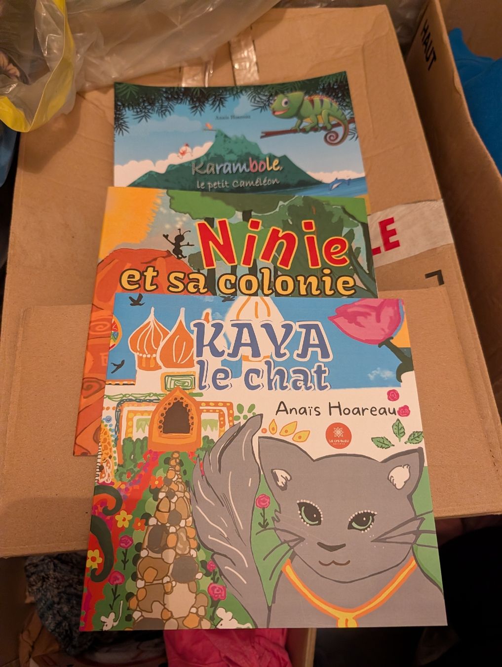Bücher: french book for children  – Neu (gemäss Beschreibung) aus Immensee von Joya974