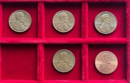USA Lot, 5x 1 Cent vzgl - unz 1982 & 2016 Lincoln Cent