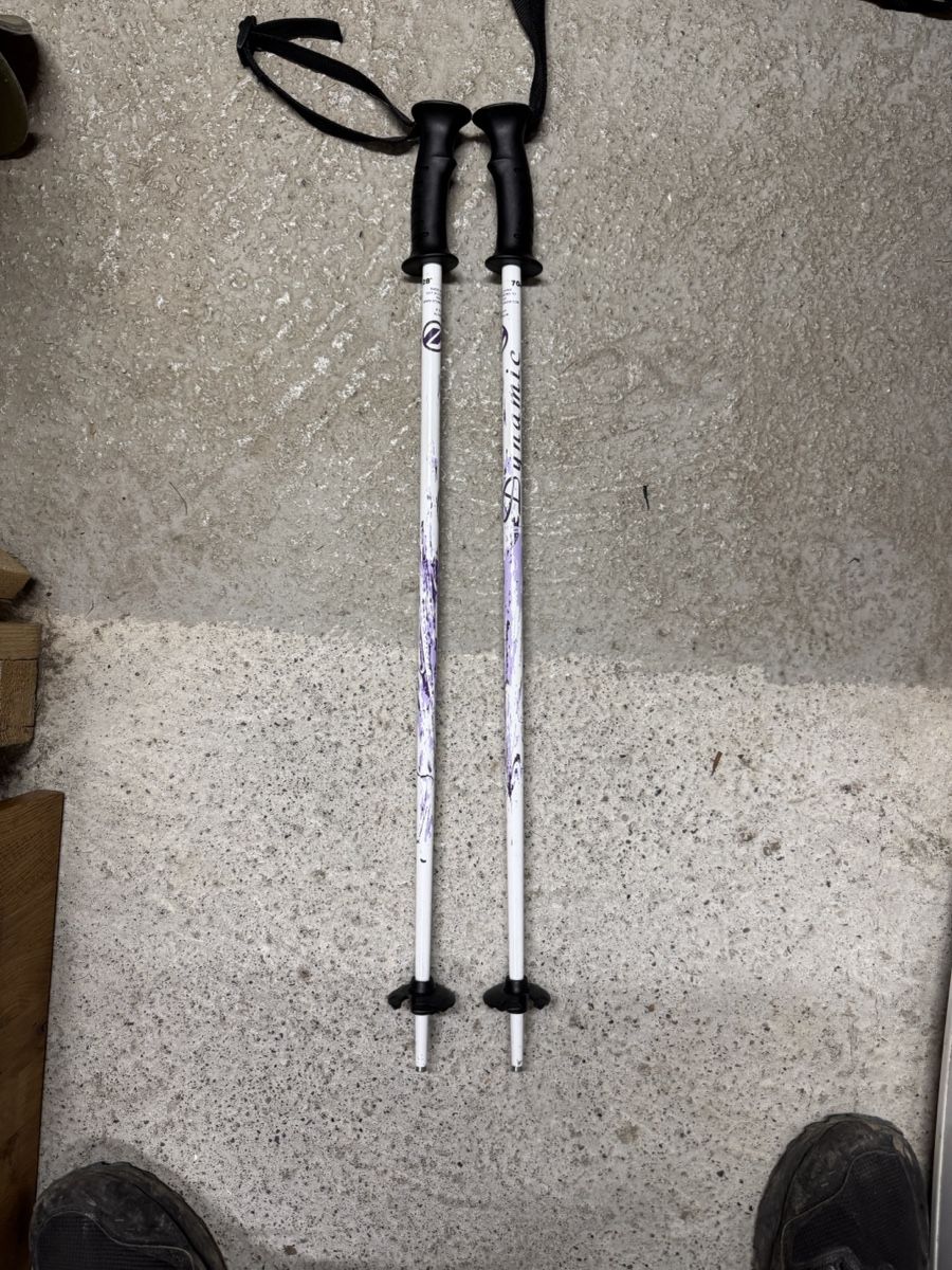 Bâtons de ski: Skistöcke Dynamic weiss - 70cm – D'occasion à Bätterkinden par AlpineTrader