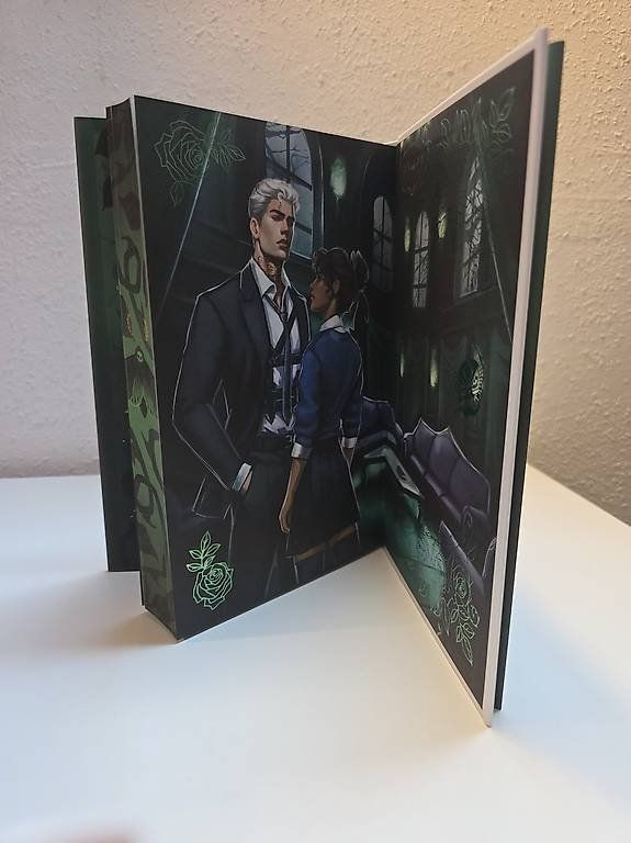Livres: Fairyloot: Seven deadly Thorns – Neuf (Voir description) à Schlatt TG par severine99 3