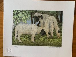 Lithographie Anton Mutter, Zwei Lämmer