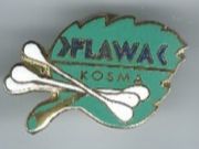Flawa Pin