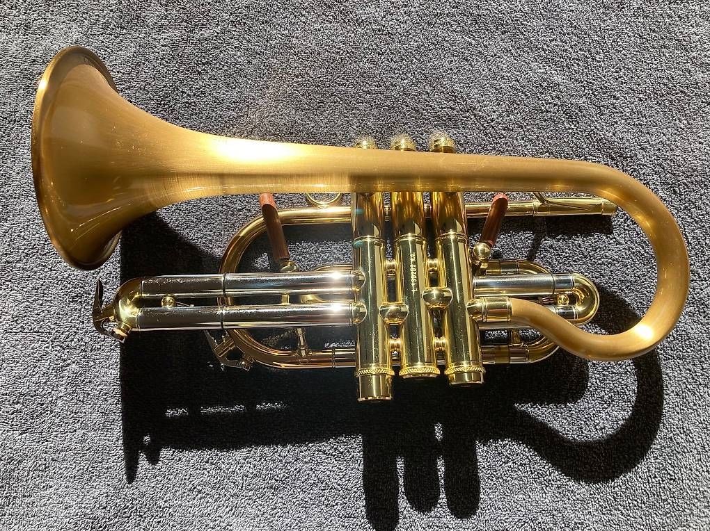 Strumenti musicali: B-CORNET CAROL BRASS – Usato da Pfäffikon ZH venduto da Pfanni115 3