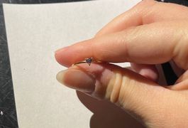 Ring Gold mit violettem Herz