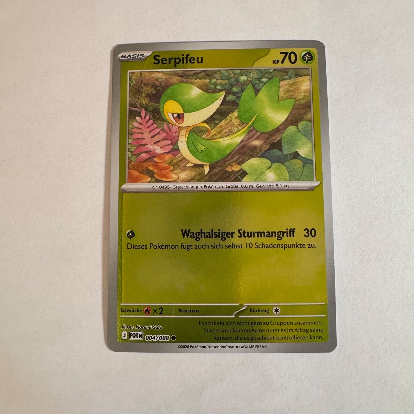 Pokémon Carte collezionabili: Pokémon - POR - Snivy 4 - DE – Nuovo (secondo la descrizione) da Staad SG venduto da miaCards