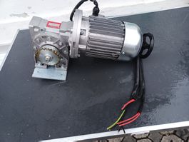 Motor