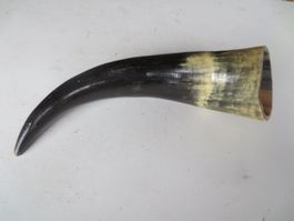 Horn
