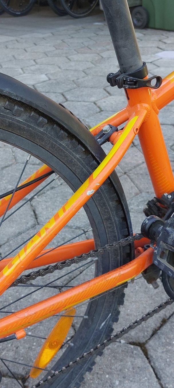 Giant Biciclette: Fahrrad – Usato da Thun venduto da S.Huggler 2
