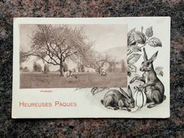 Ansichtskarte, Heureuses Pâques , Printemps, gelaufen1918