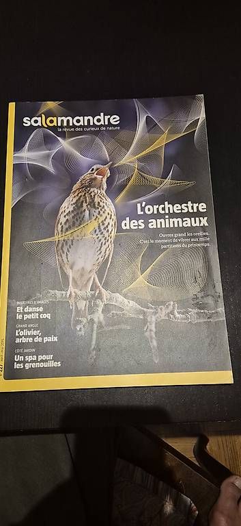 Riviste & Magazine: La Salamandre 6 n° – Usato da Lausanne venduto da angelalone