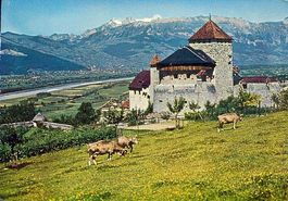 Vaduz  FL  mit Rheintal / Kühe     um 1968