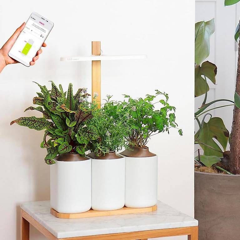 Vasi per fiori: Lilo Connect Indoor-Kräutergarten – Usato da Bern venduto da Remy0 3