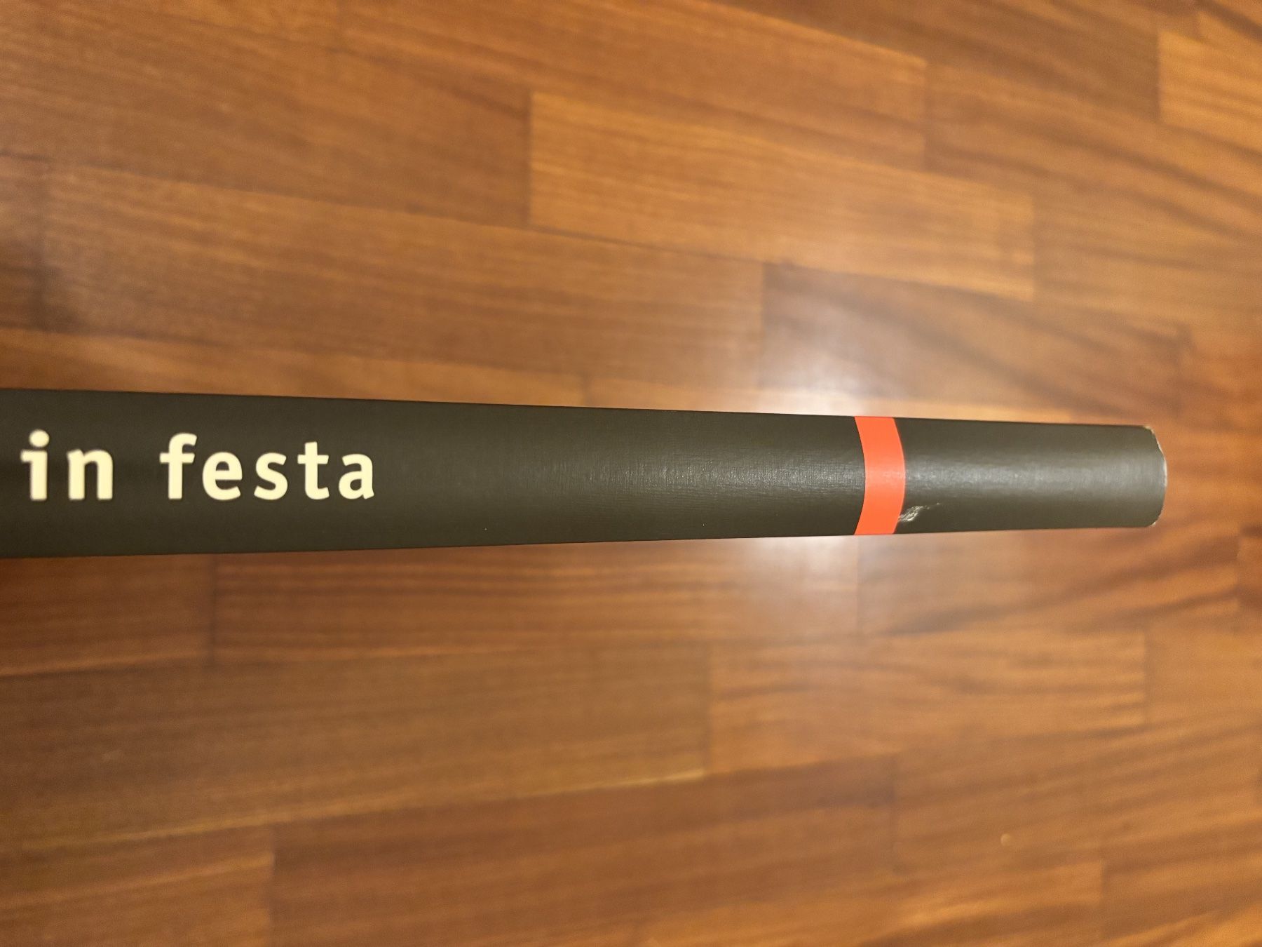 Libri: Alpi in Festa – Usato da Lugano venduto da Mark_Young 1