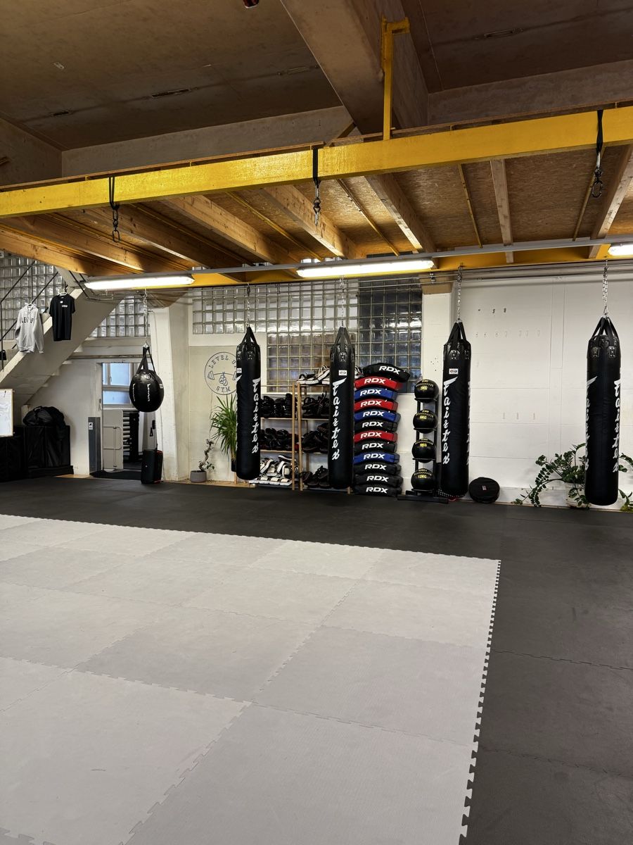 Tappetini fitness: Tatami Kampfsportmatten – Usato da Biel/Bienne venduto da valerK 1