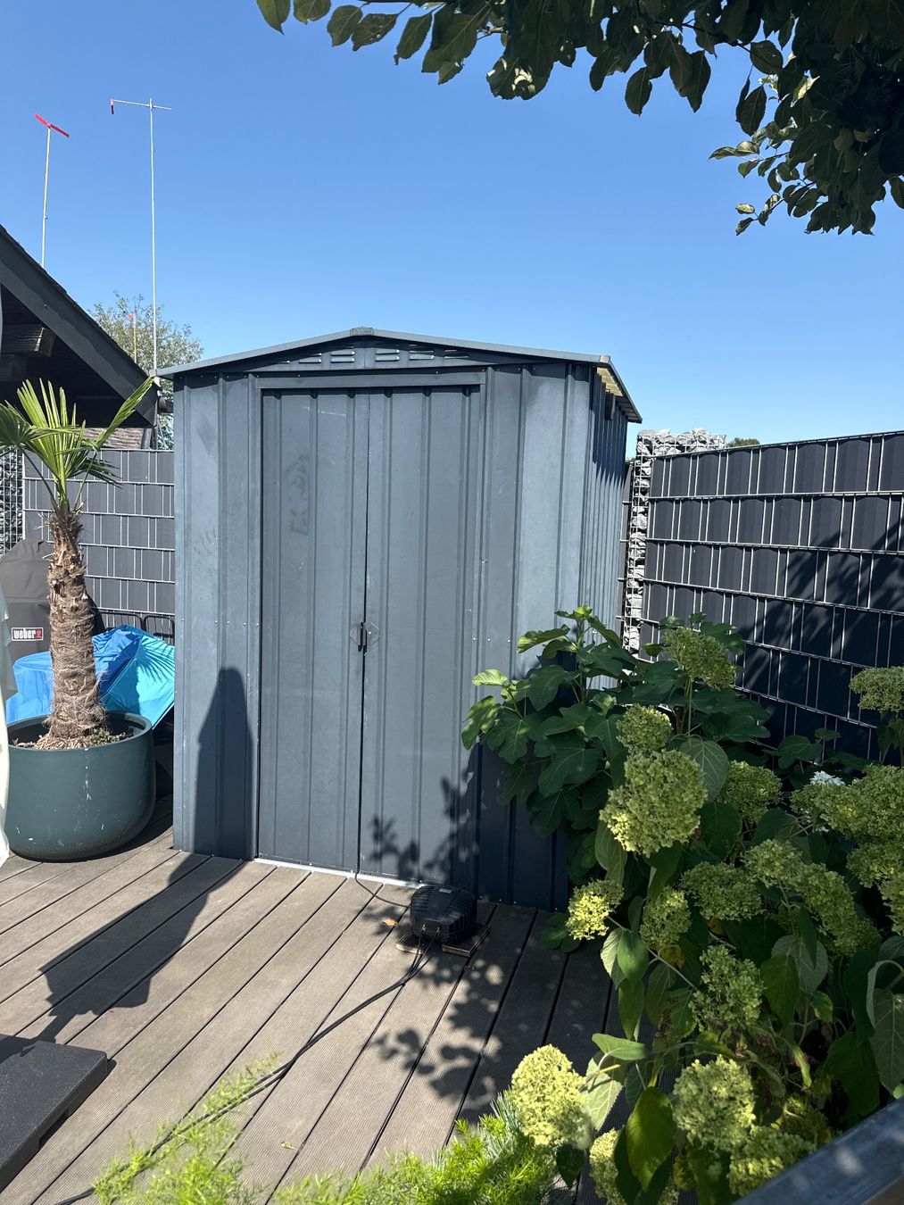 Casette da giardino & serre: Blechgardenhaus – Usato da Bolken venduto da ManZau 1