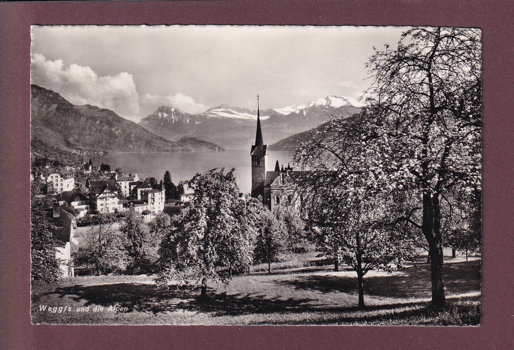 Cartes postales: WEGGIS - 1950 – D'occasion à Pully par nicecards