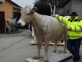 Kuh lebensgroß / Lieferung Schweiz per Spedition / 3D Modell