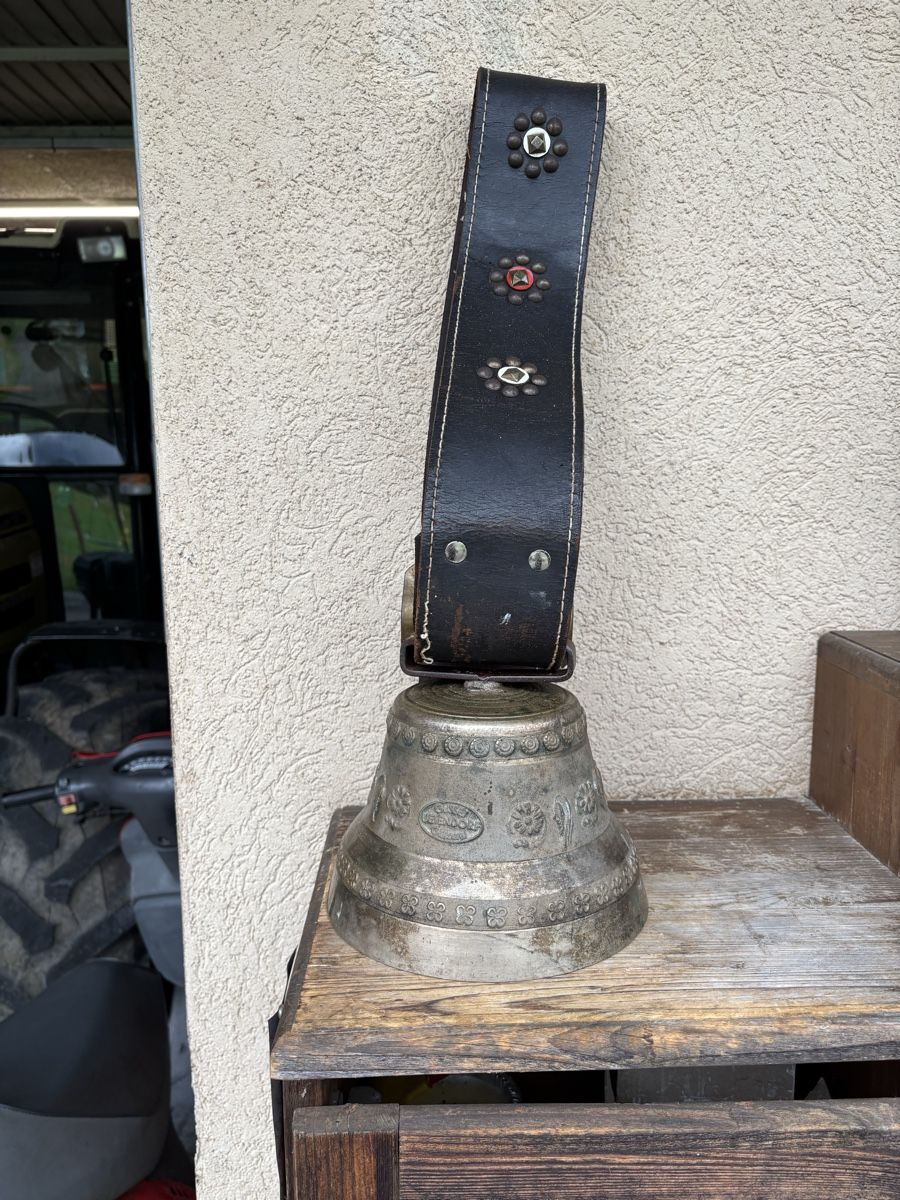 Campanacci mucche: Gusset Glocke  – Usato da Schangnau venduto da Roseggli82 7