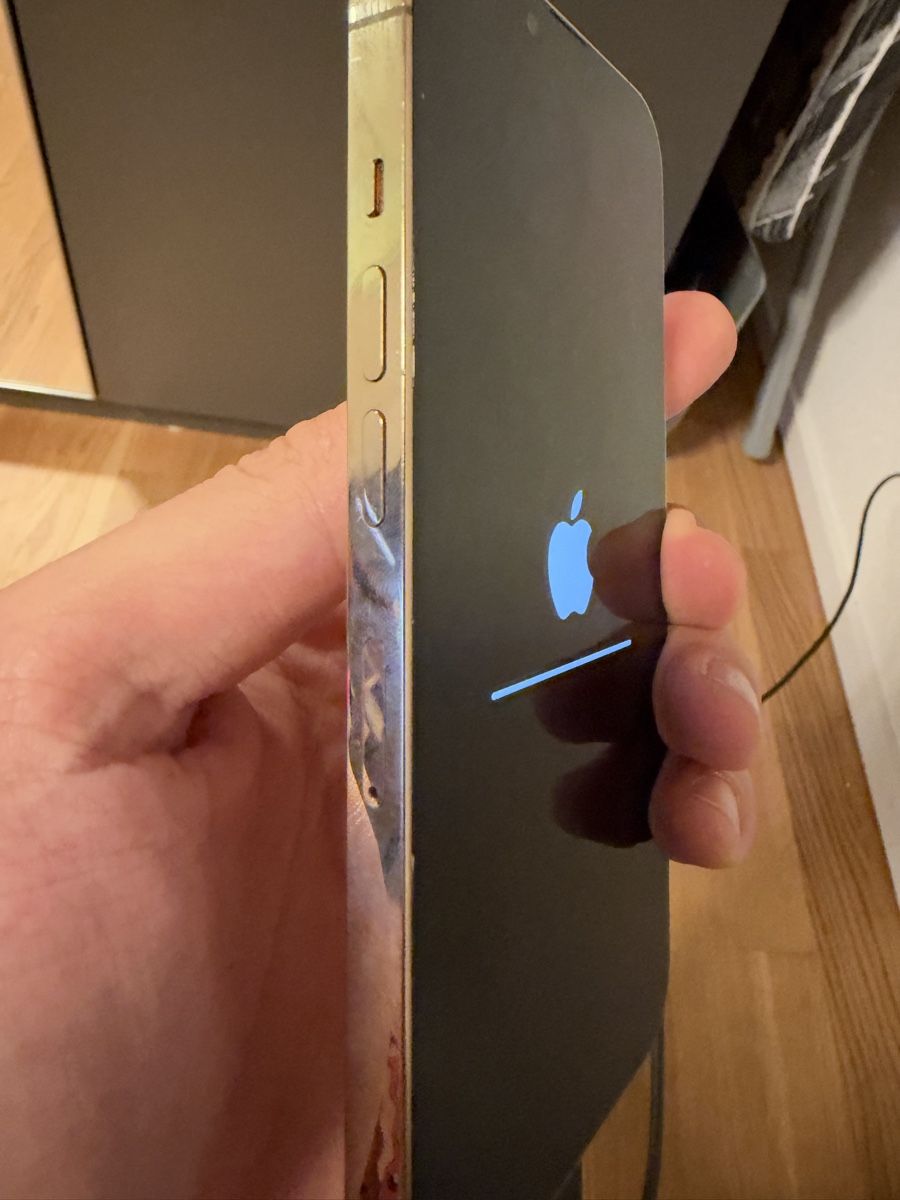 Apple Telefoni cellulari / Smartphones: Iphone 13 pro 128 GB – Usato da Erlinsbach venduto da RubenC16 2