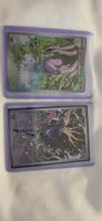 Pokémon Illustration Rare Set – Xerneas + Viscargot DE/ENG