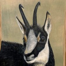 Profile image of MosArt58
