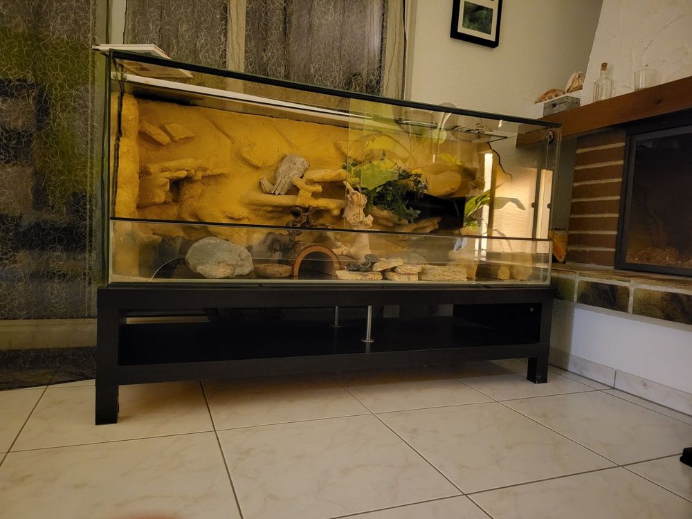 Terrarium Wüste warm für z.B. Bartagame 1.5m x 0,5m x 0,6m Kaufen auf