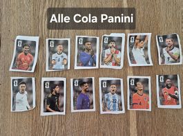 Alle 12 Coca Cola Panini