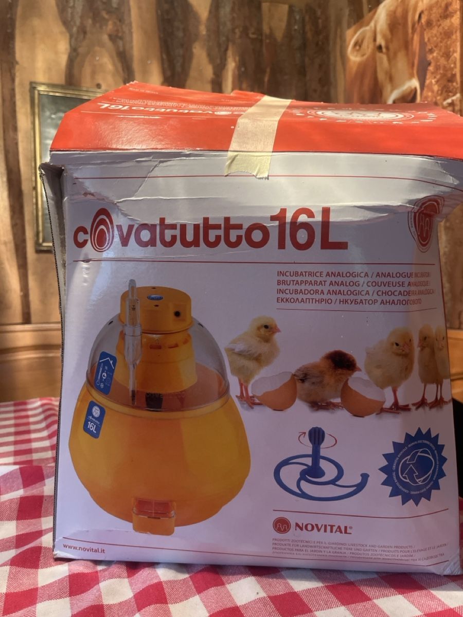 Toutes les machines: Brutkasten – D'occasion à Rüeterswil par bambus67 1