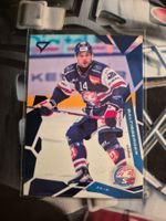 Chris Baltisberger ZSC Lions 2025/26 Sportzoo Blue