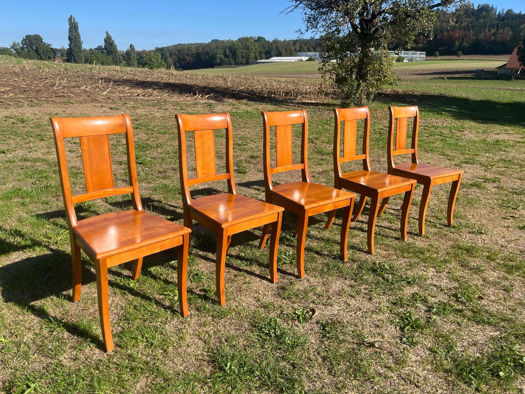 Stühle: 5 Stühle Nussbaum Massiv – Gebraucht aus Allmendingen b. BE von juair 3