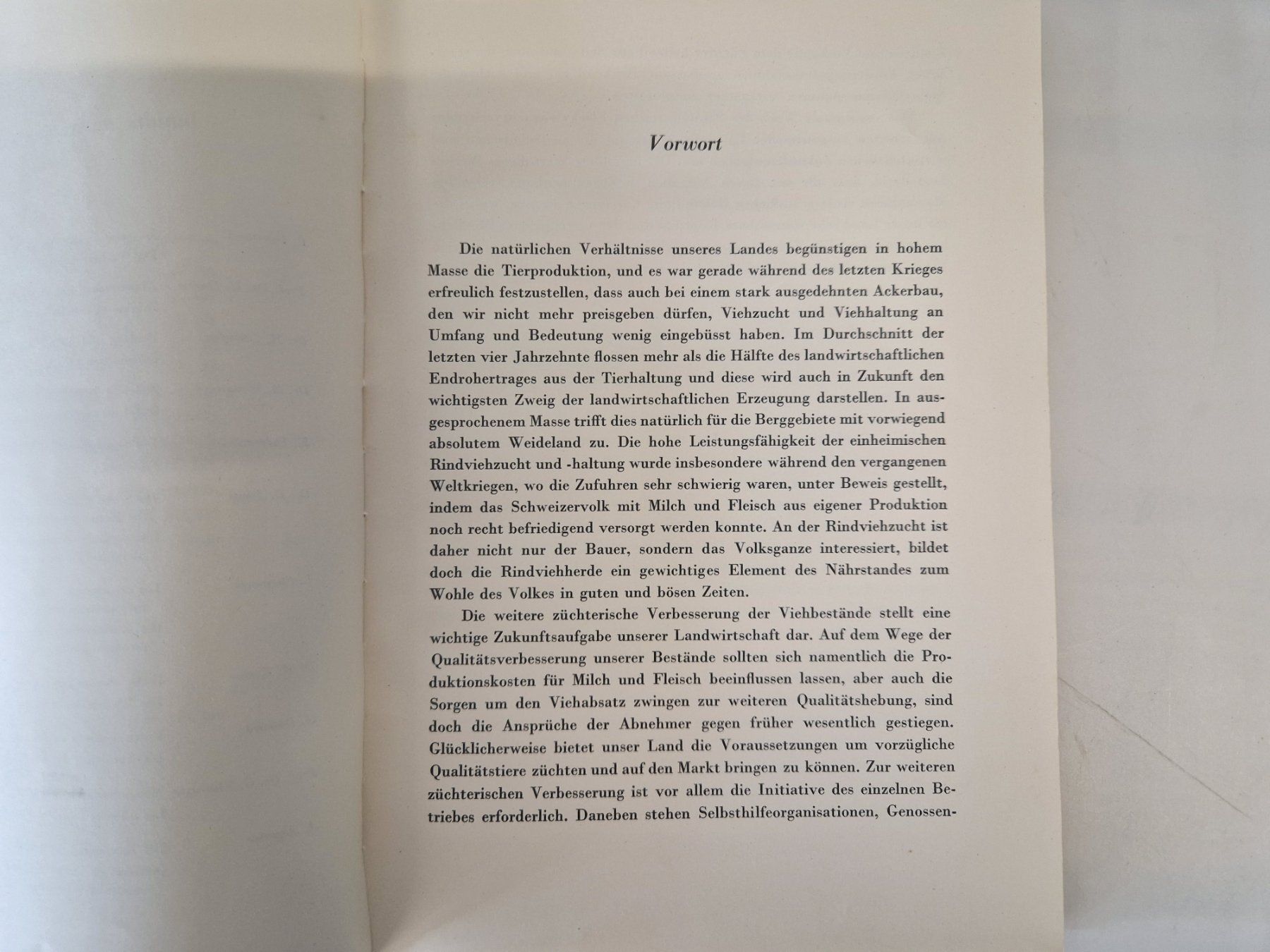 Libri: Das Simmentaler Fleckvieh der Schweiz – Usato da Muhen venduto da Restwert_Muhen 2