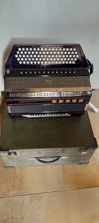 Strumenti musicali: Zupan Akkordeon Alpe V – Usato da Buochs venduto da von_mzm8 1