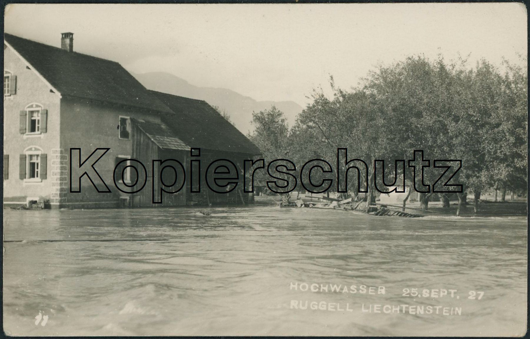 Ansichtskarten: FL Ruggell - Hochwasser - Katastrophe – Neu (gemäss Beschreibung) aus Schindellegi von masutka7